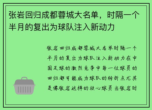 张岩回归成都蓉城大名单,时隔一个半月的复出为球队注入新动力