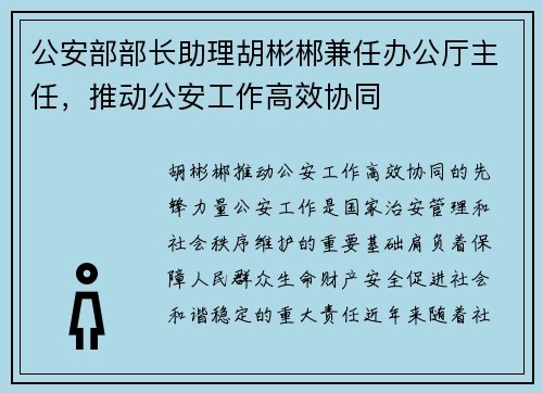 公安部部长助理胡彬郴兼任办公厅主任,推动公安工作高效协同
