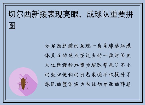 切尔西新援表现亮眼，成球队重要拼图